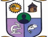 ADVERT- DIRECTOR- IBIC (re-advertised)