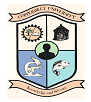 The Copperbelt University