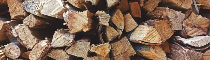 Integrated Life and Environmental Sciences